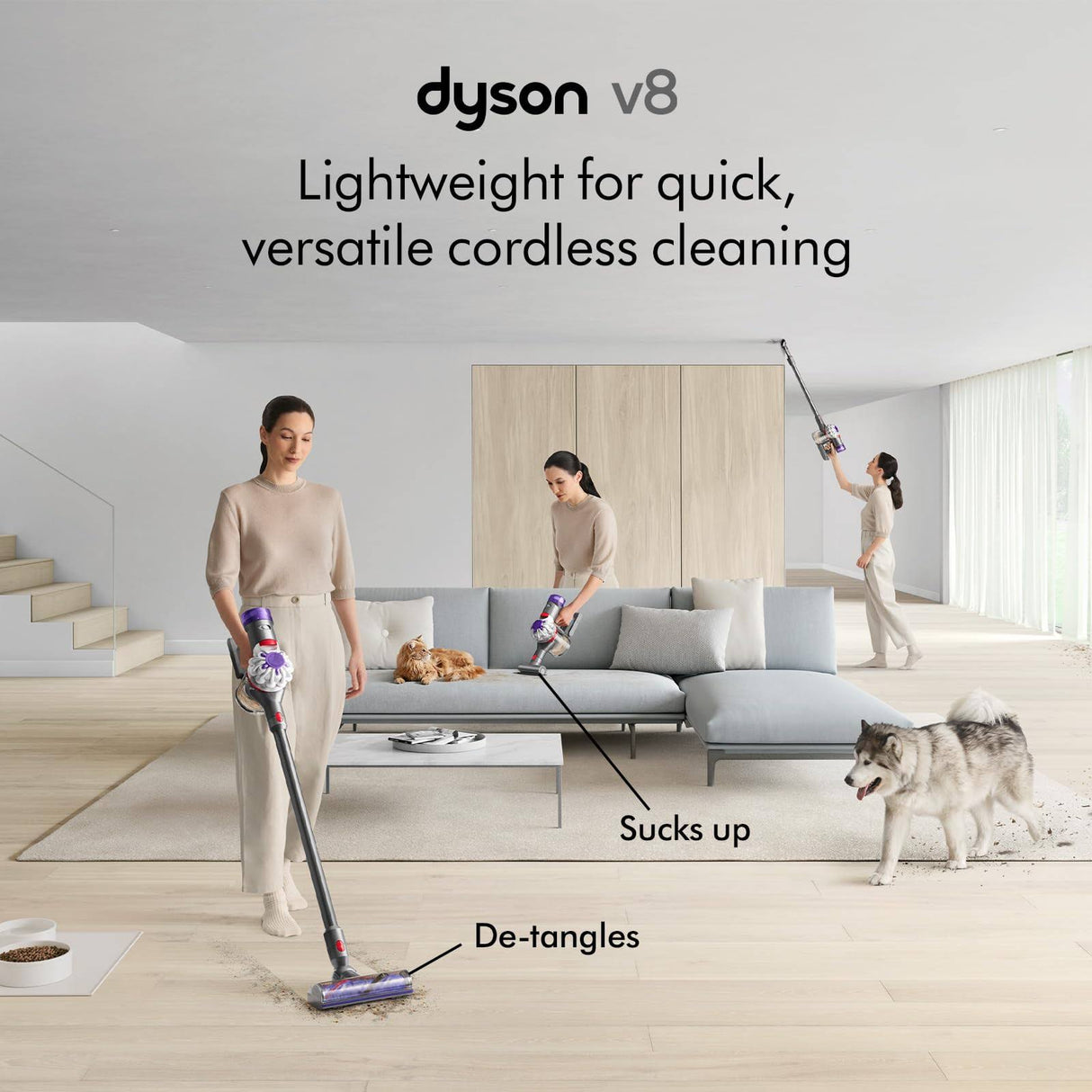 Dyson V8 Cordless Vacuum