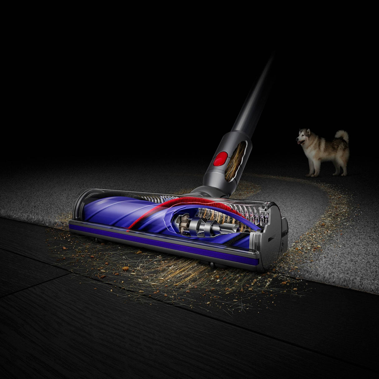 Dyson V8 Cordless Vacuum